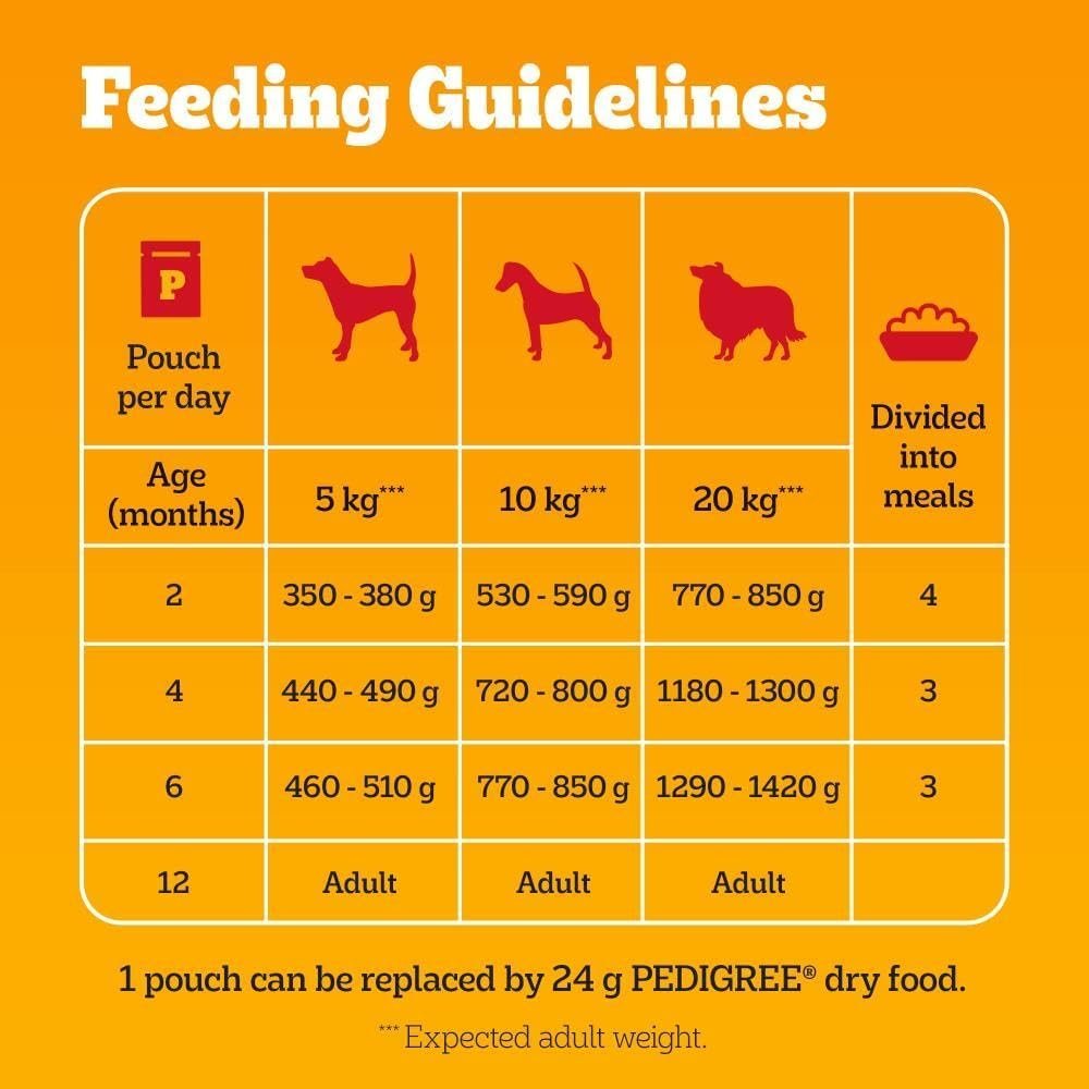 Pedigree Junior Wet Dog Food for Young Dogs and Puppies, 12 Pouches (12 x 100 g) - Image 4