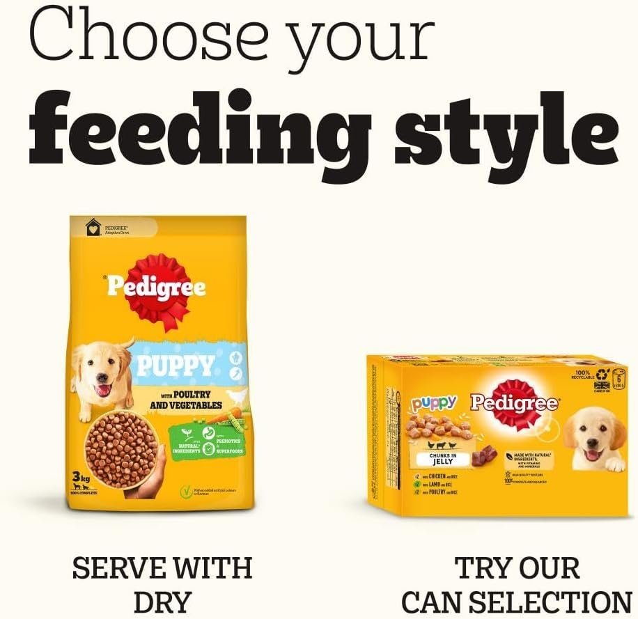 Pedigree Junior Wet Dog Food for Young Dogs and Puppies, 12 Pouches (12 x 100 g) - Image 6