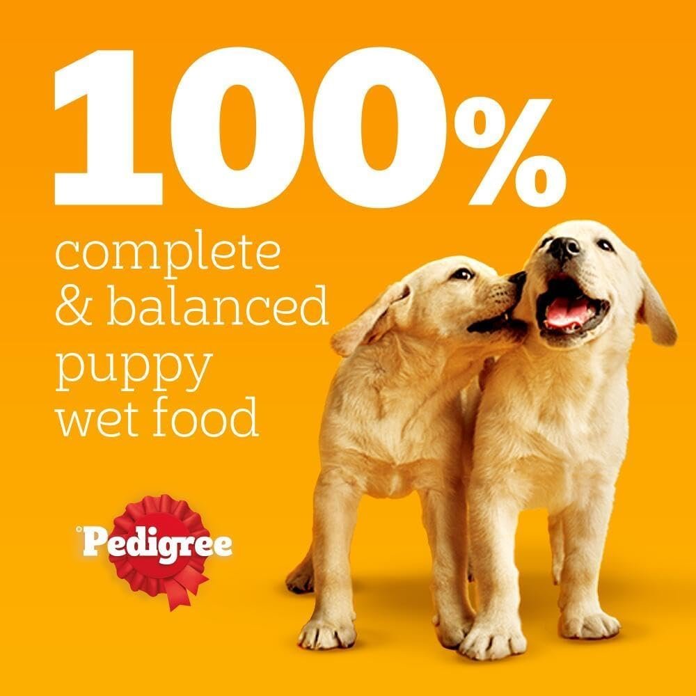 Pedigree Junior Wet Dog Food for Young Dogs and Puppies, 12 Pouches (12 x 100 g) - Image 5