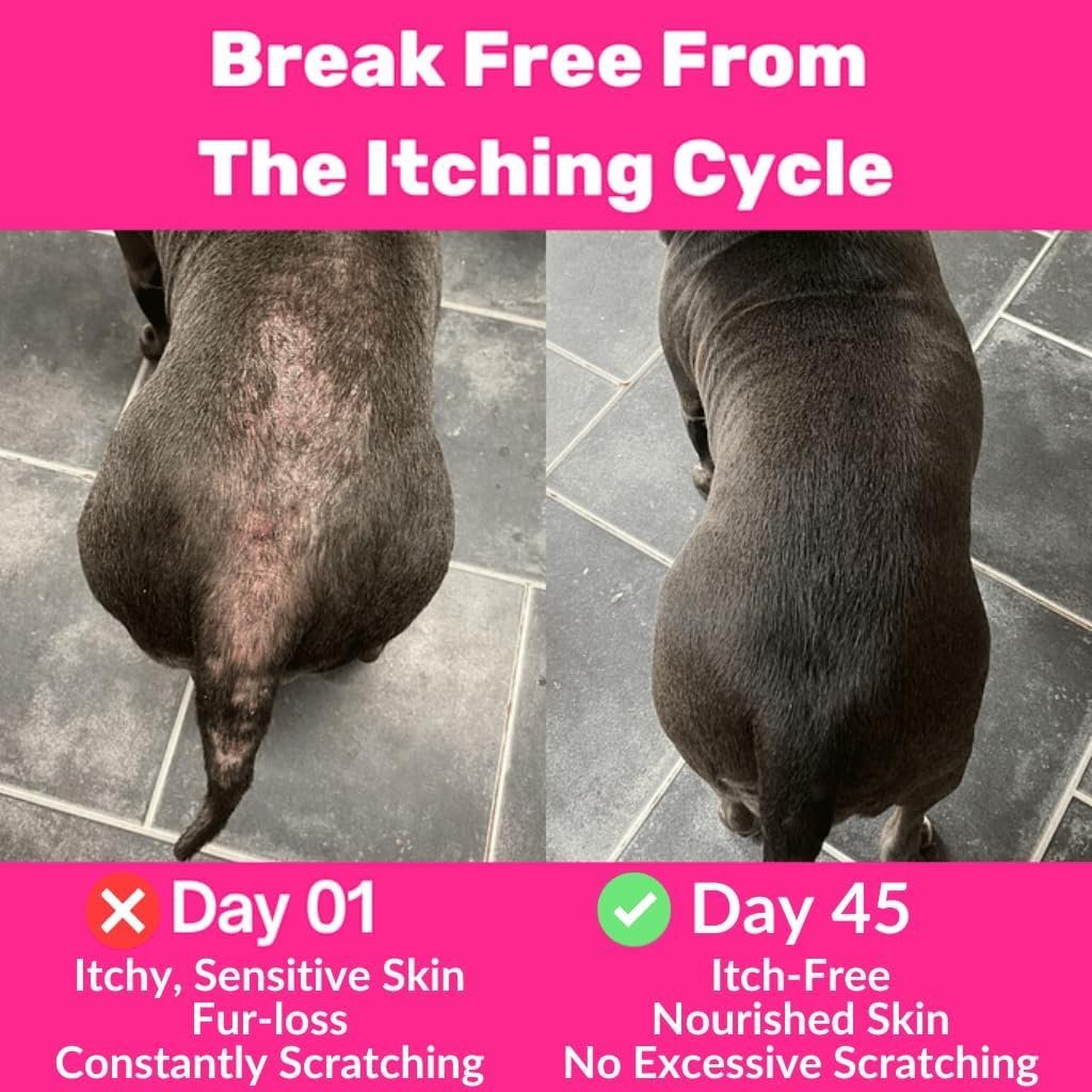 NutriPaw All-Itch Immunity Treats For Dogs - Perfect for Small, Medium & Large Dogs - Supports Seasonal Itching - Image 4