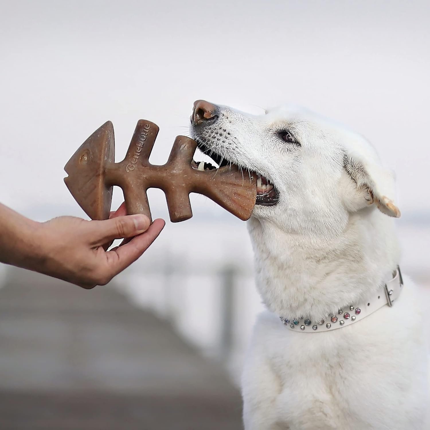 Benebone 2-Pack Indestructible Fishbone/Wishbone Dog Chew Toys, Long Lasting Tough Boredom Breaker for Dogs - Image 2
