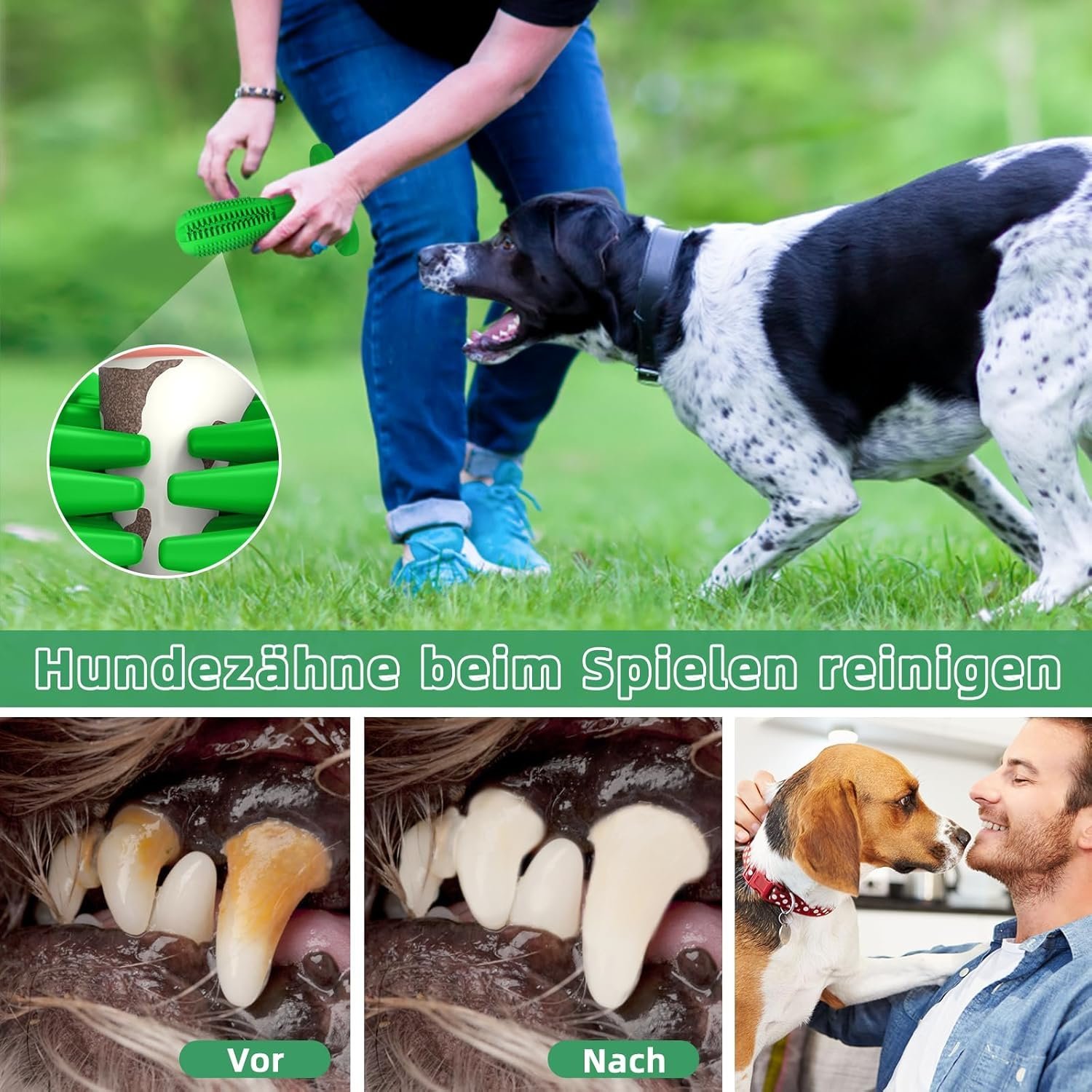 Dog Chew Toys, Tough Durable Dog Toothbrush Toys, Outdoor Interactive Dog Toys Dogs Dental Care Teeth Cleaning Toy - Image 6