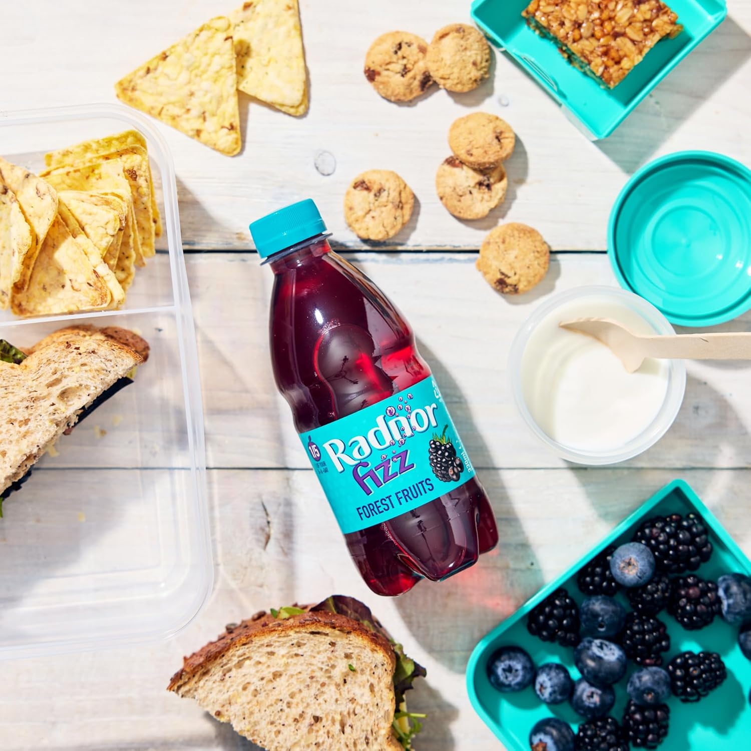 Radnor Fizz Sparkling Fruit Juice 330ml No Added Sugar Choose Your Own - Any 3 flavours, 8 of each (Pack of 24)